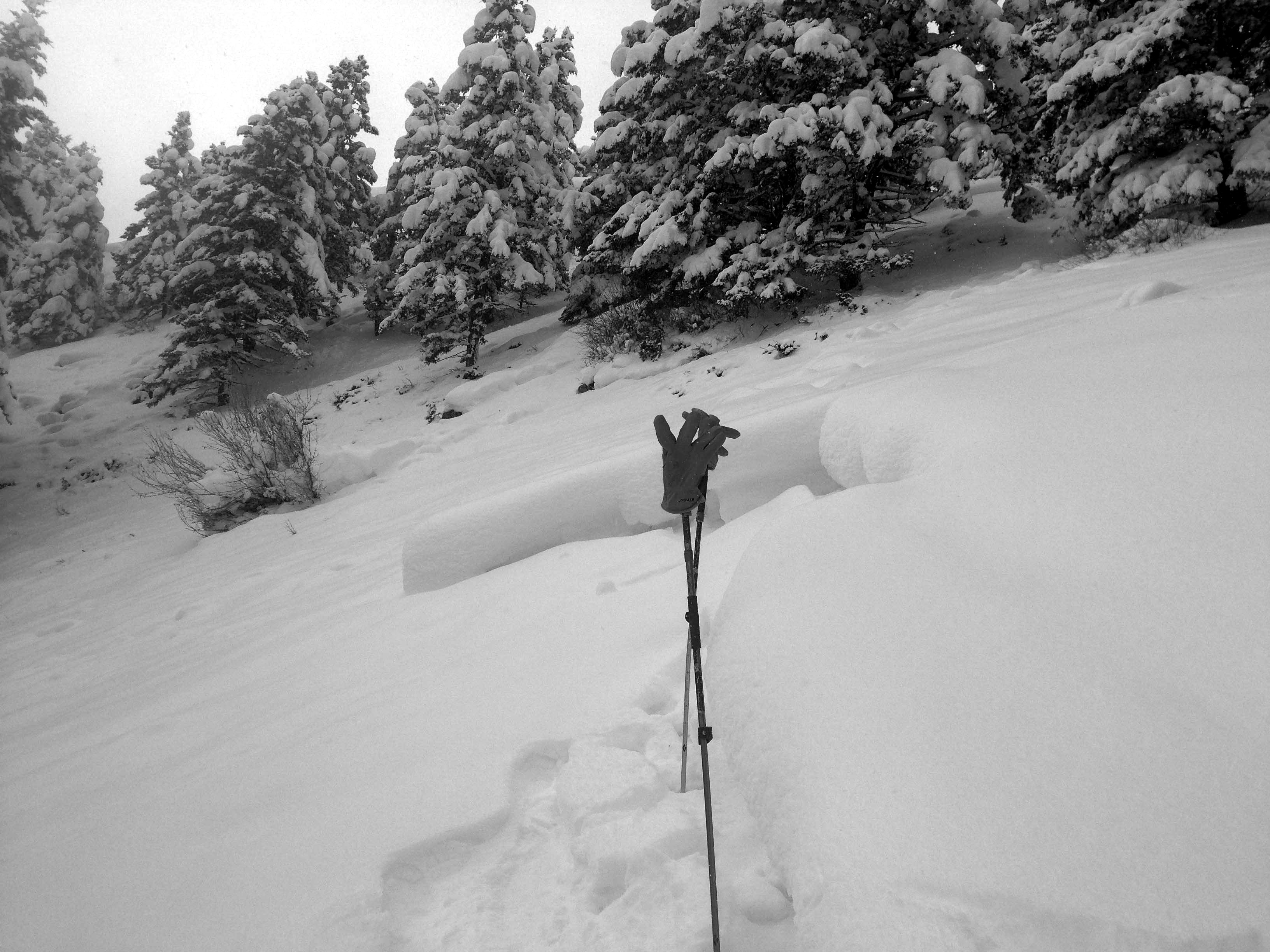 Avalanche Dudley Creek