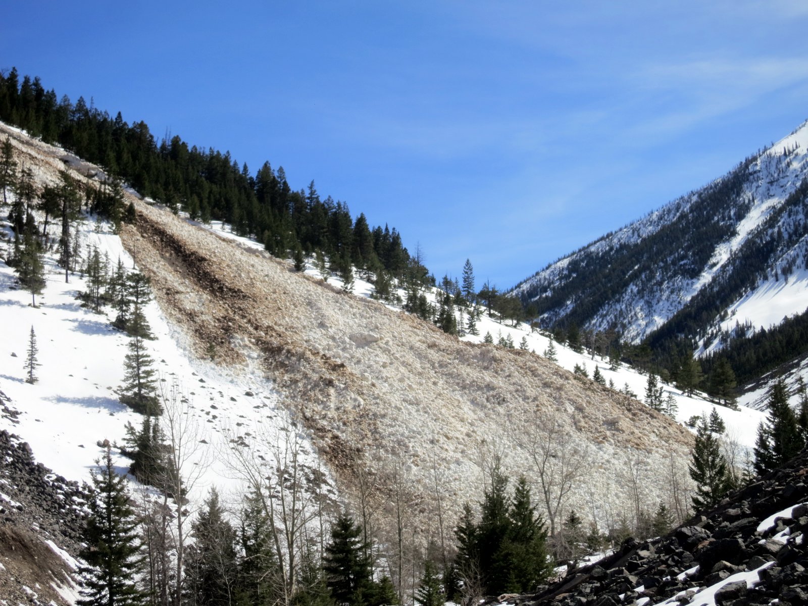 Huge wet slide debris in Emigrant Gulch