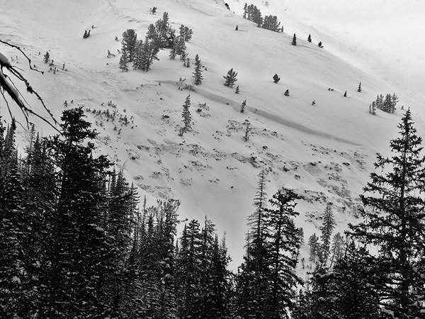 Natural Avalanche Cooke City - 3/8/14