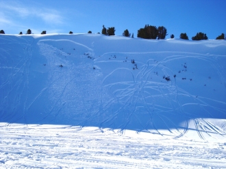 Tracks Adjacent to Recent Avalanche