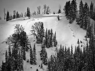 Pebble Creek Avalanche